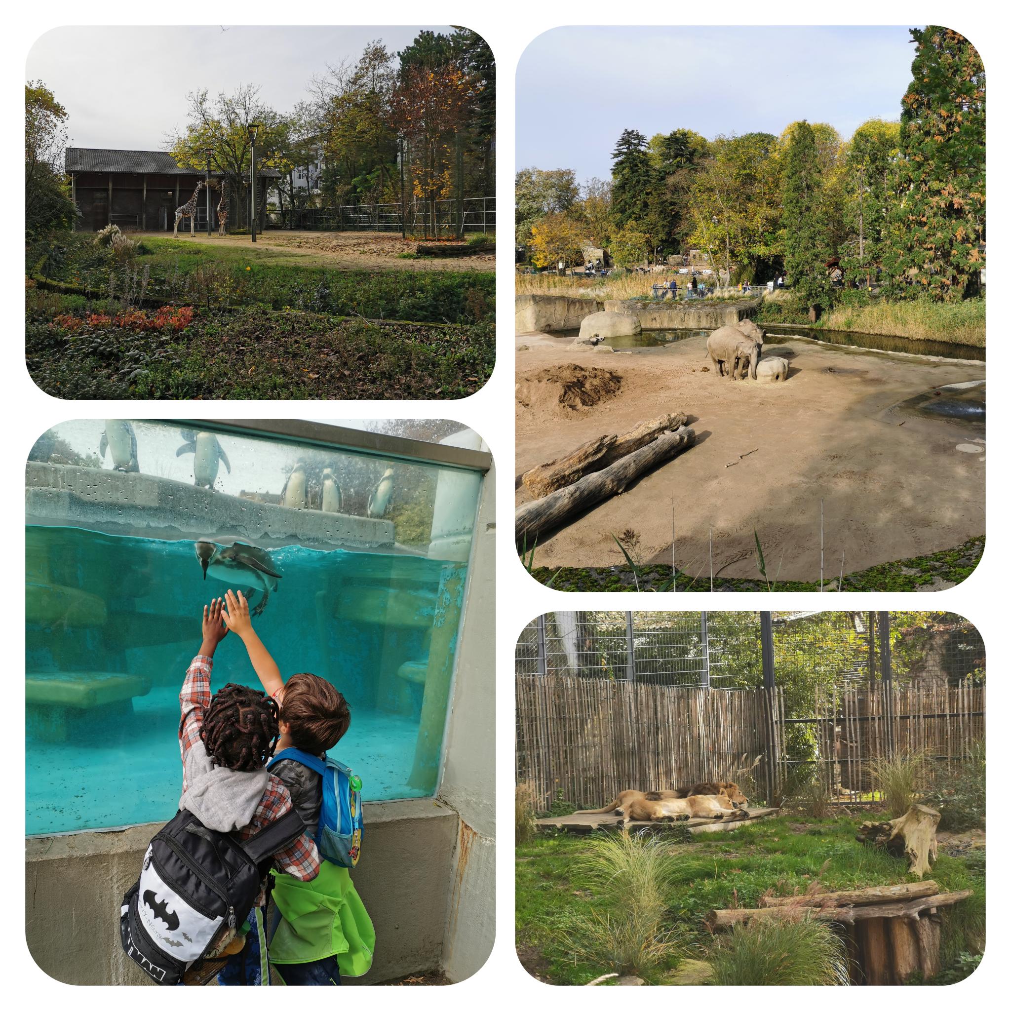 Read more about the article Zoo-Ausflug: Tierisch gut!